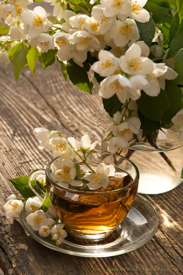 Жасминовый чай