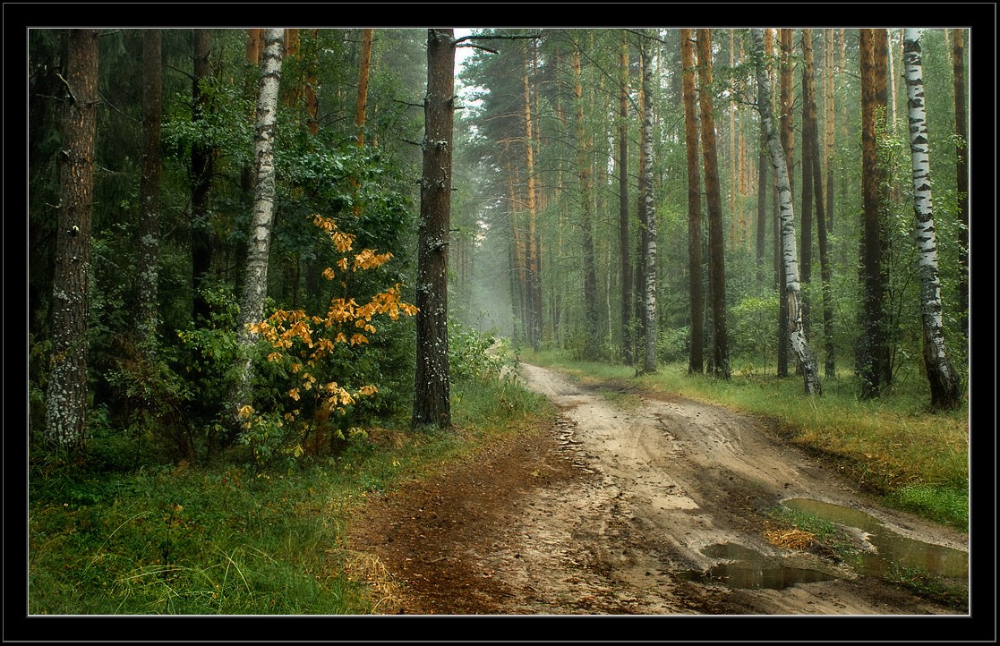 Скоро осень.