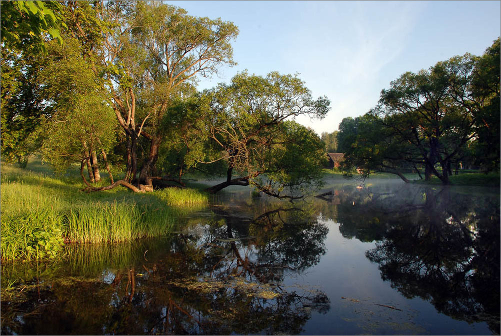 пруд с домиком