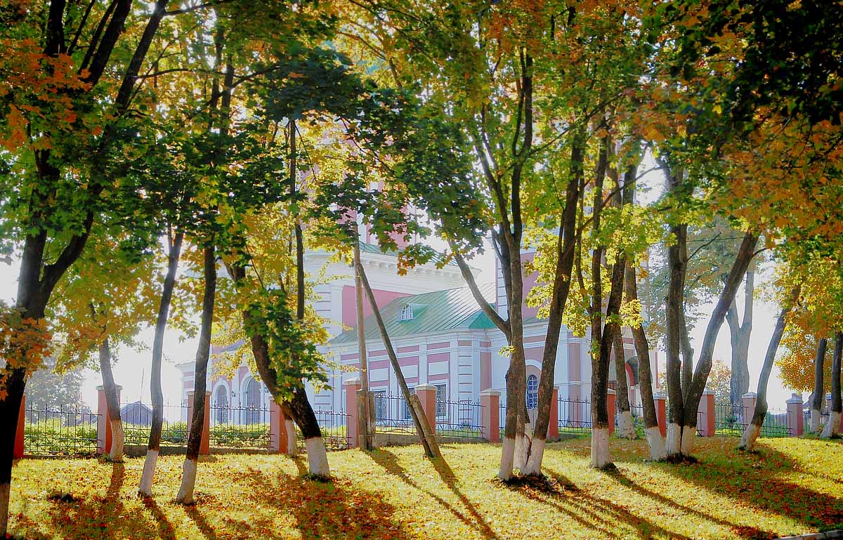 за стволами