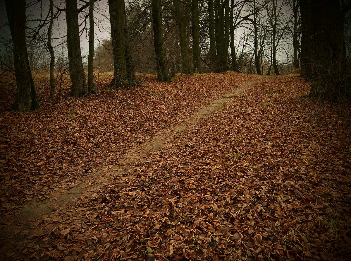 Межсезонье