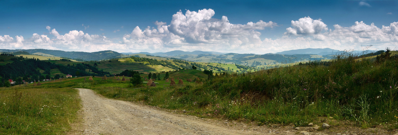 Летом в Карпатах