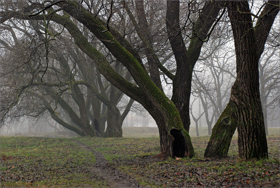 умолкли птиц живые голоса...