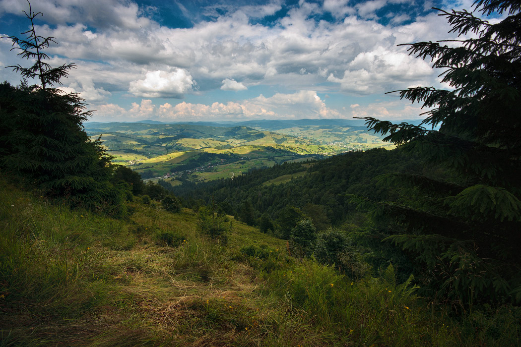 Над Пилипцом