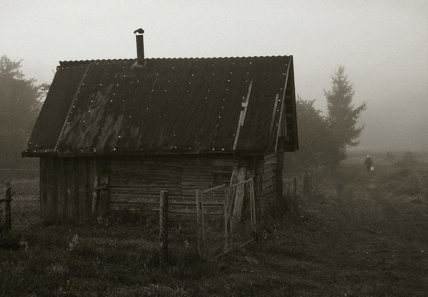 утро в деревне