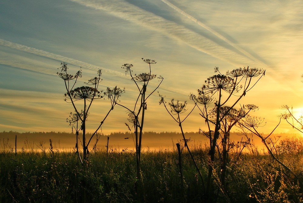 Встречая рассвет