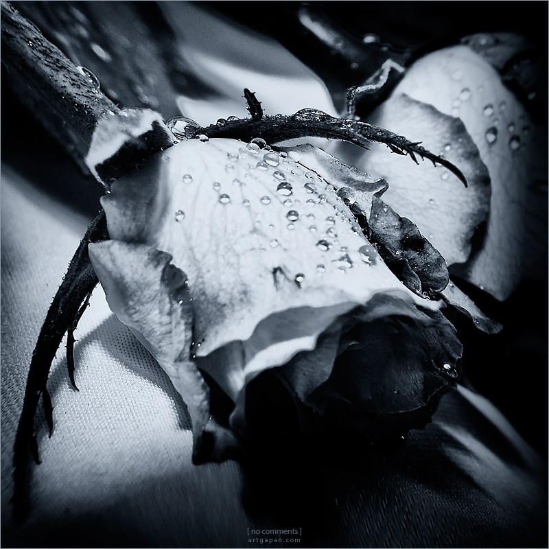 [ Ганз энд роузес ]