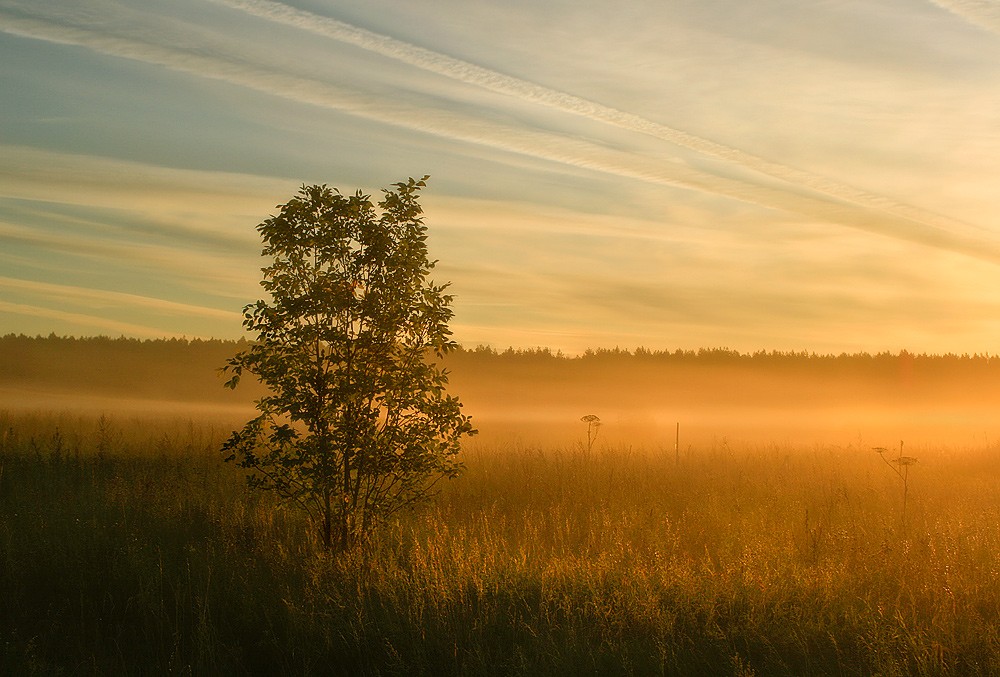 В туманной тишине.