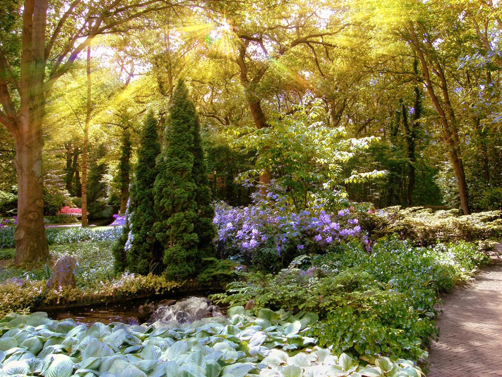 парки Голландии 2