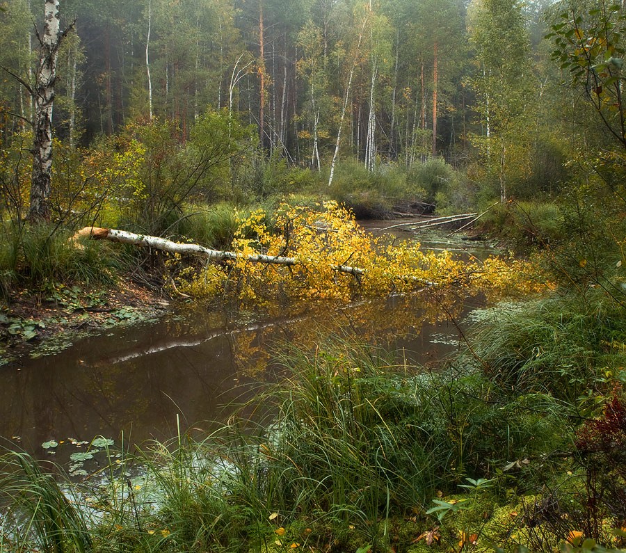 Окончен бал...