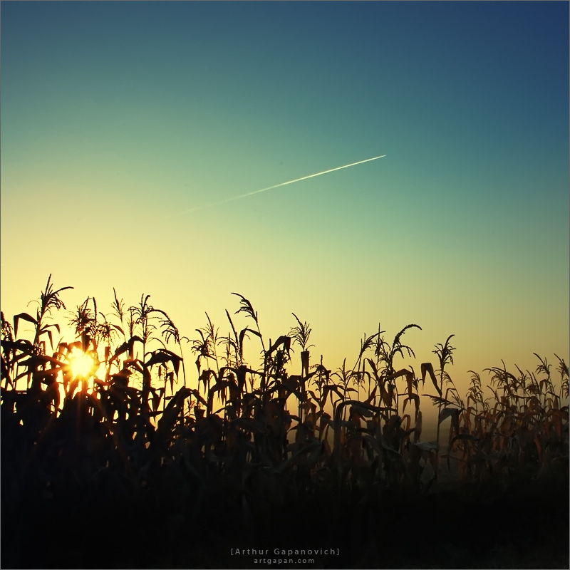 [ Улетать...]