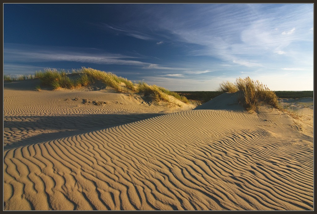 Заповедник песка среди воды