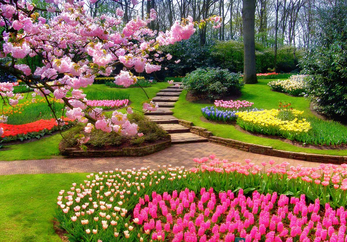 парки Голландии 3