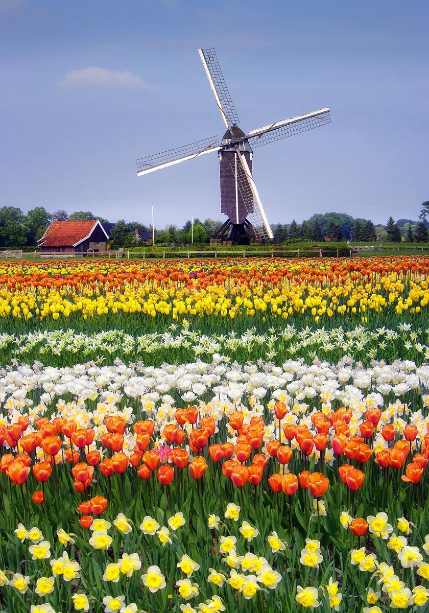 парки Голландии 4