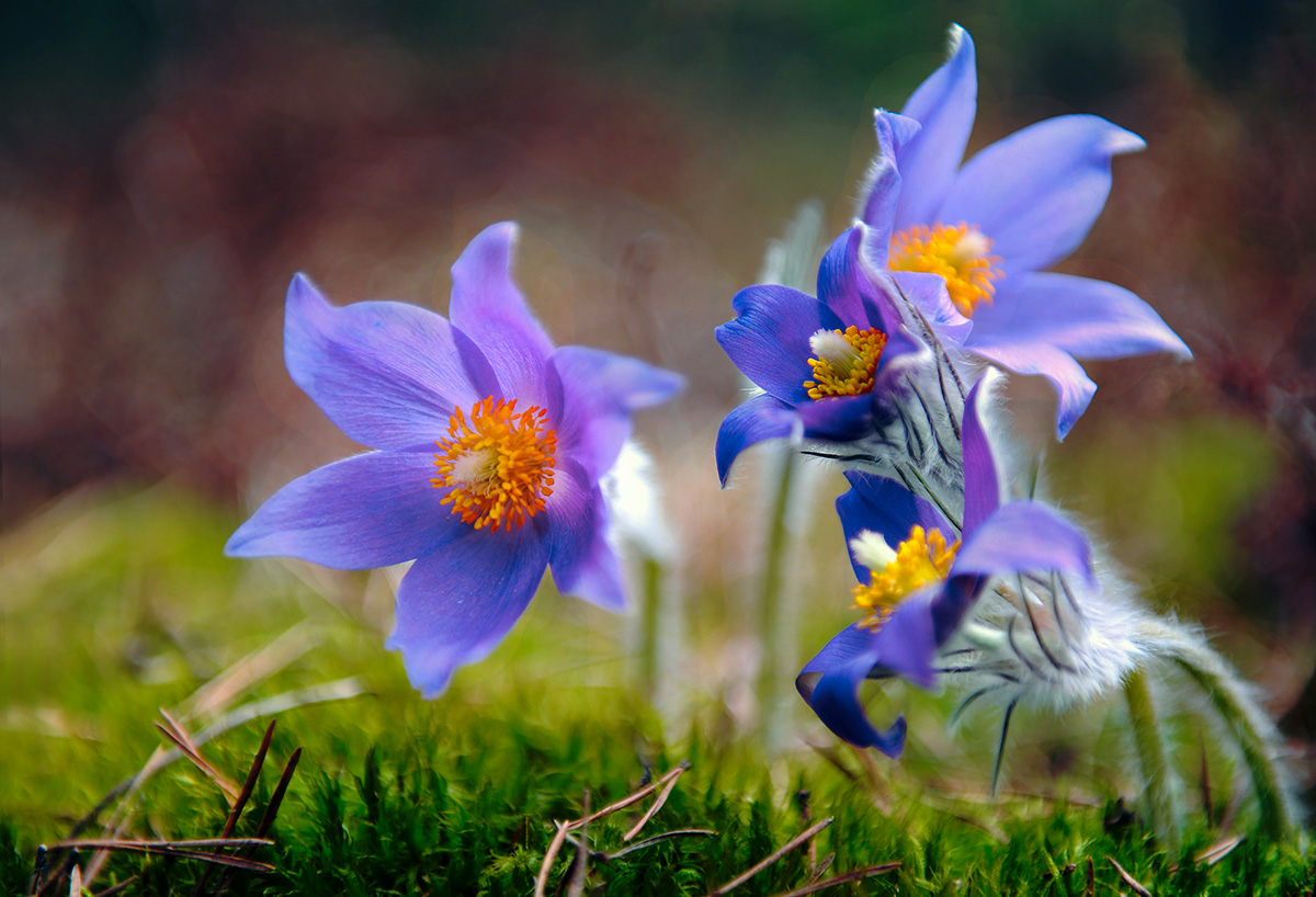 Все только начиналось