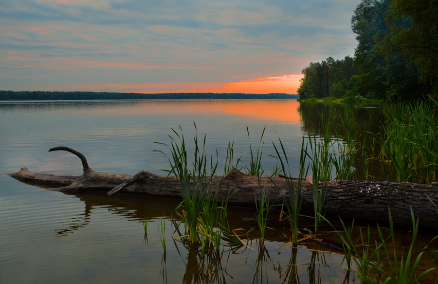 УТРЕННИЙ СОН