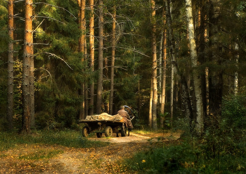 Из дальней деревни.