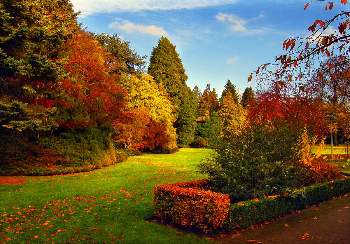 парки Голландии 5