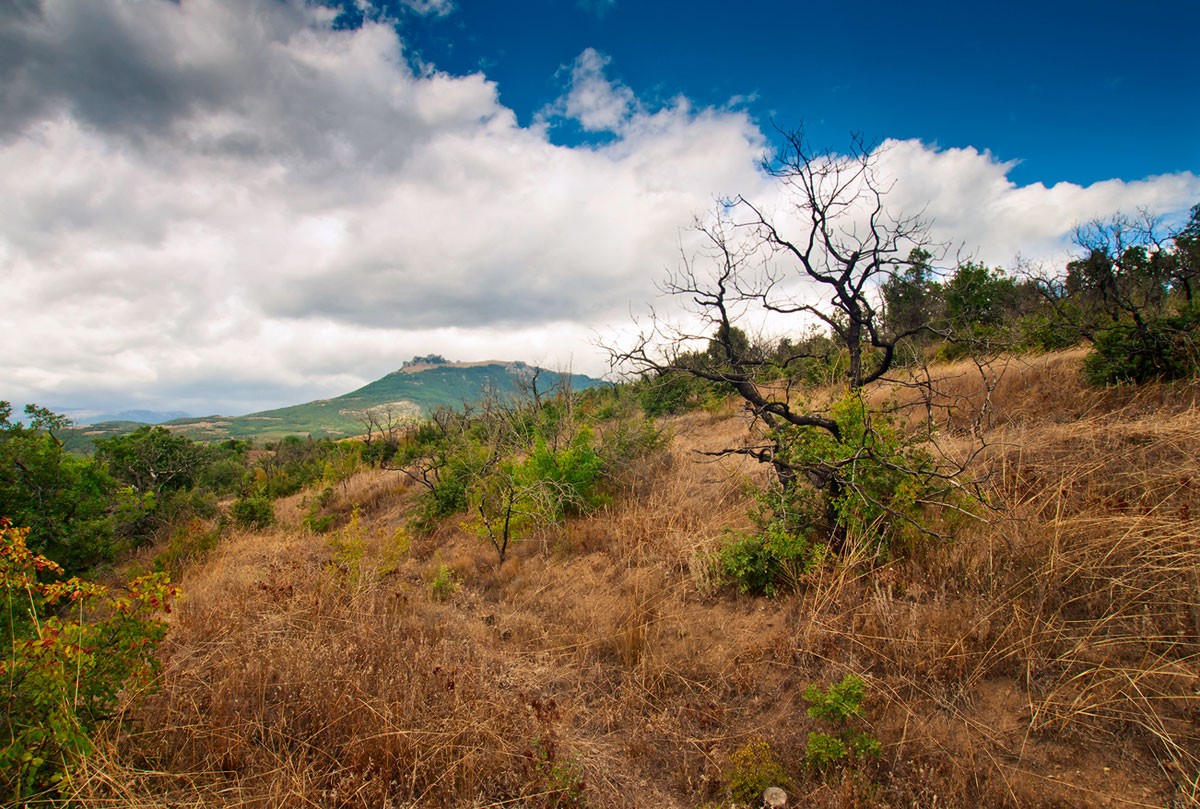 C видом на Демерджи