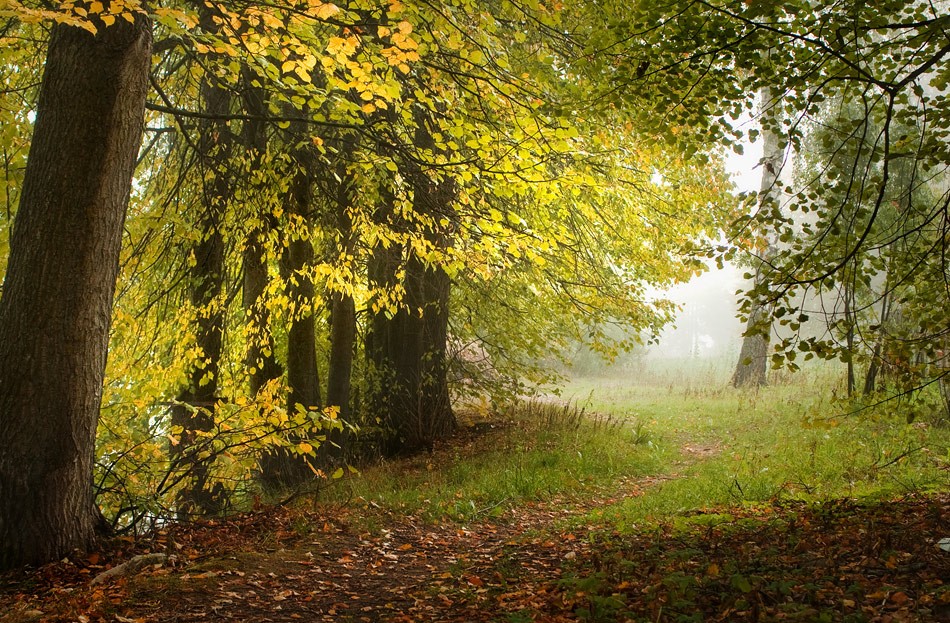 Осеннее утро.