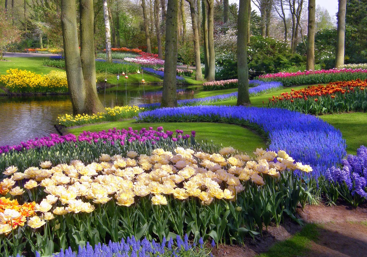 парки Голландии 7