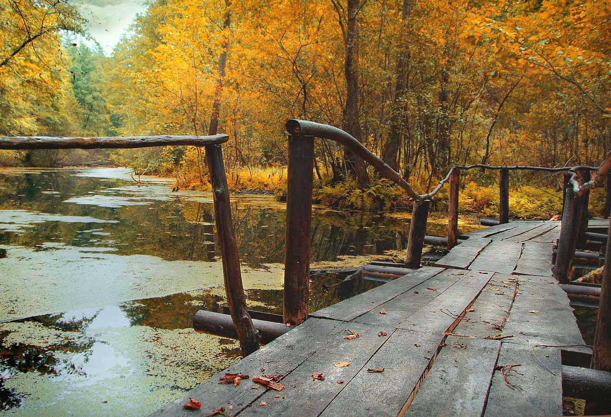 Вот и осень...