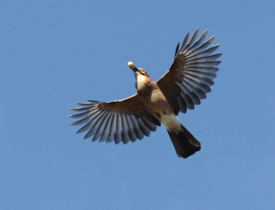 предзимние хлопоты