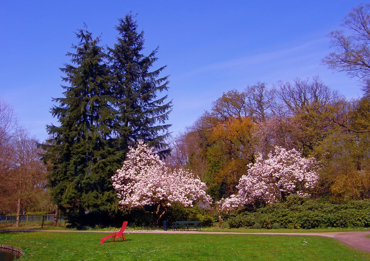 парки Голландии 9