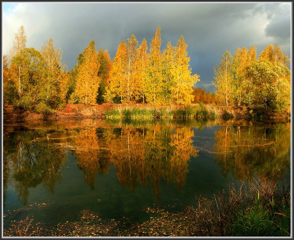 Перед грозой...