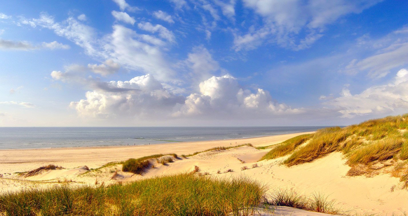 Голландский берег