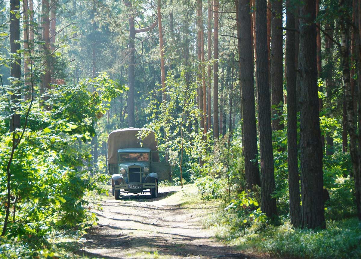 заблудился во времени