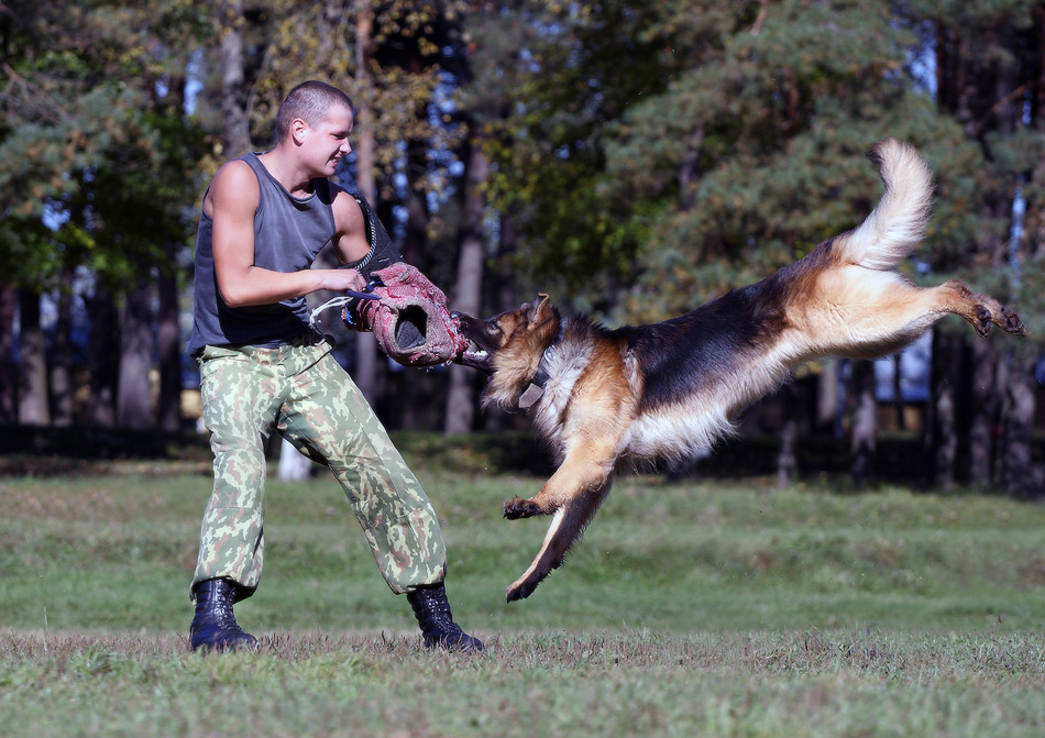 лобовая атака