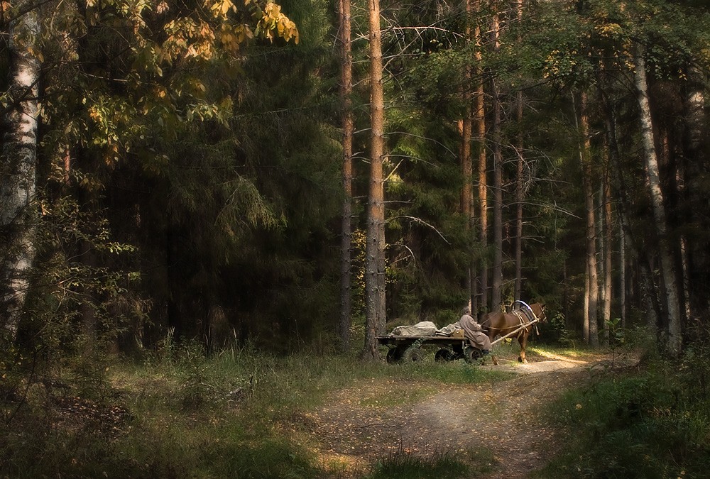 Из дальней деревни