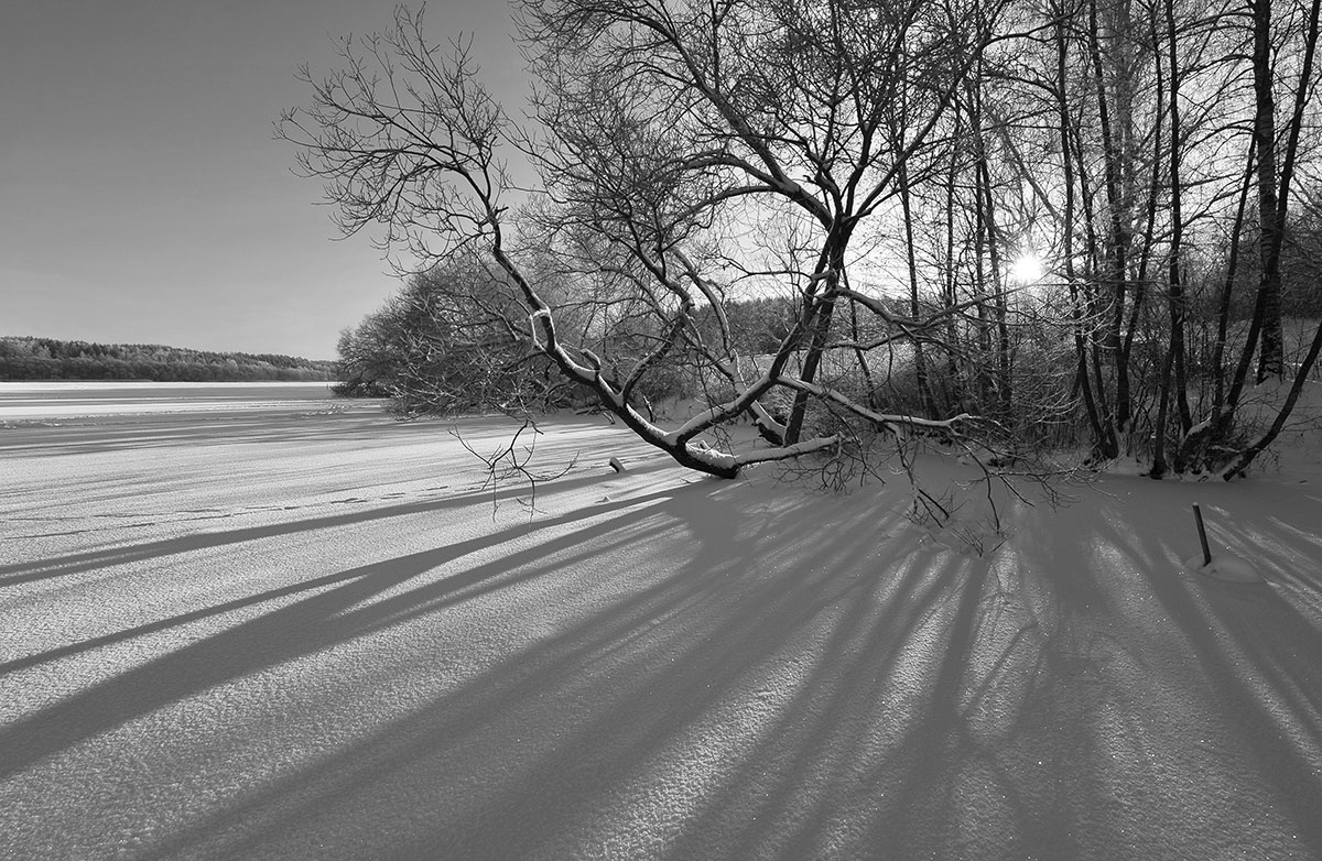 Ранним  утром