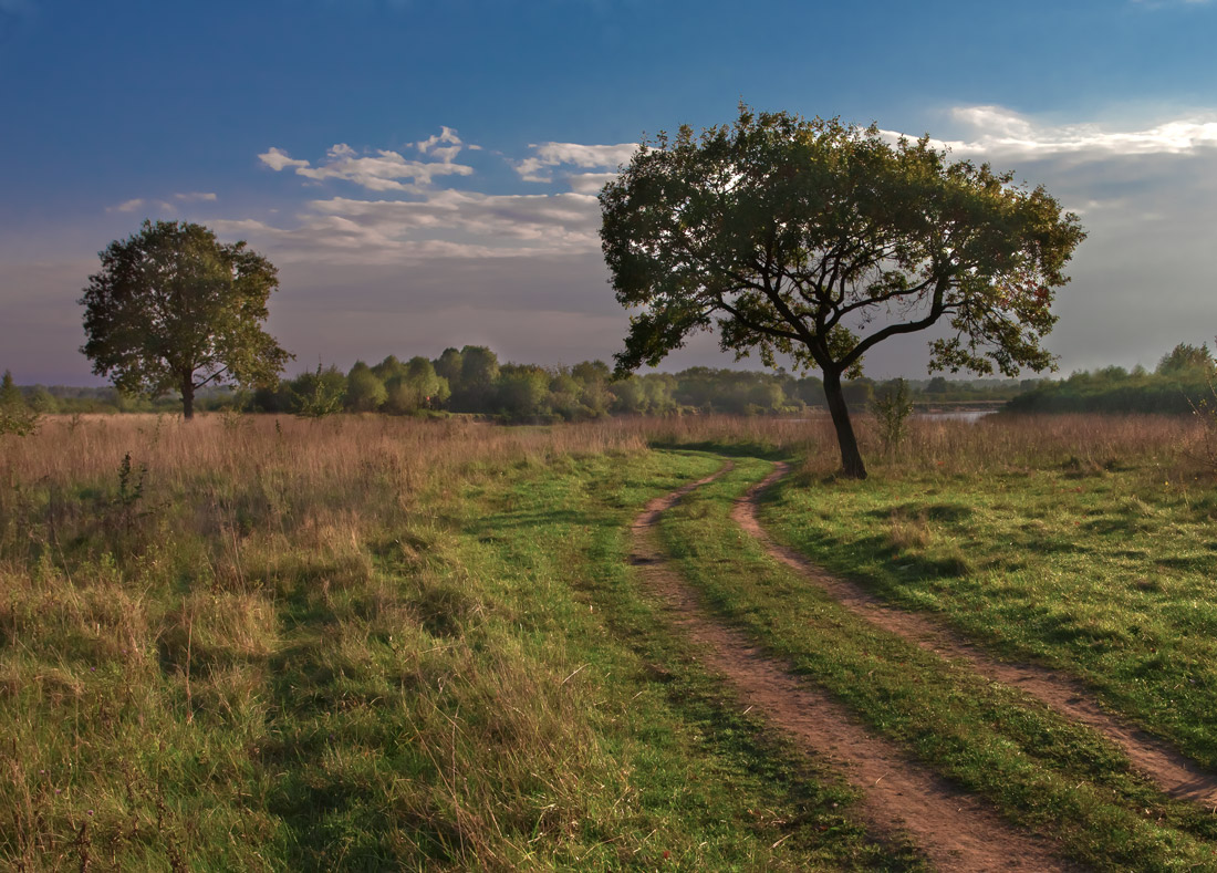СЕНТЯБРЬСКОЕ УТРО