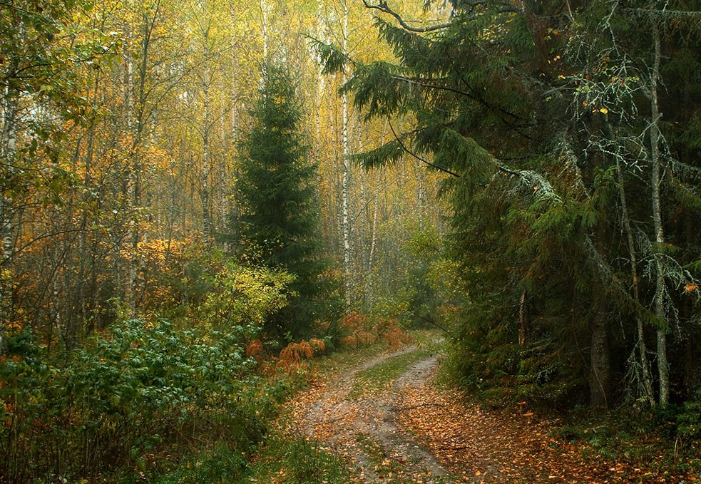 Между настоящей и будущей...