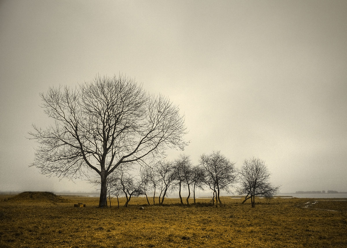 |   The sad view   |