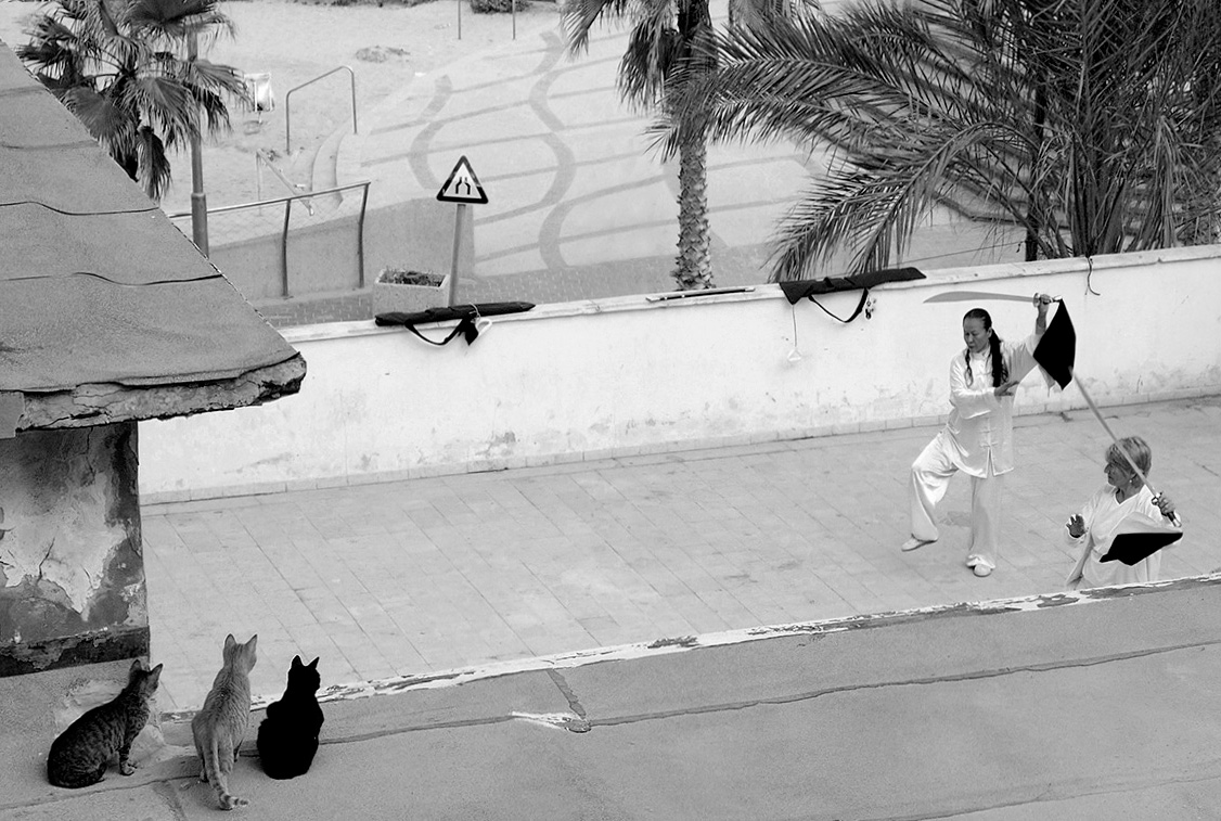 Белые ходят первыми