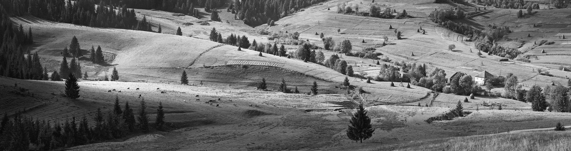 Карпатские мотивы в ЧБ