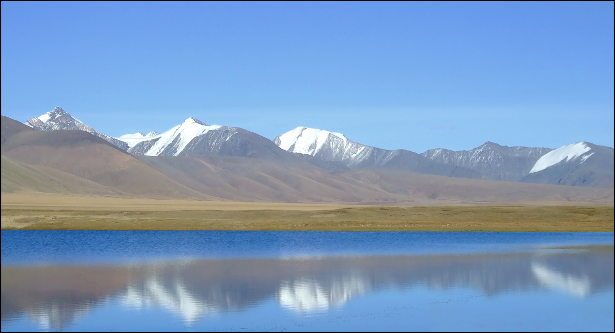 БЕЛОЕ БЕЗМОЛВИЕ