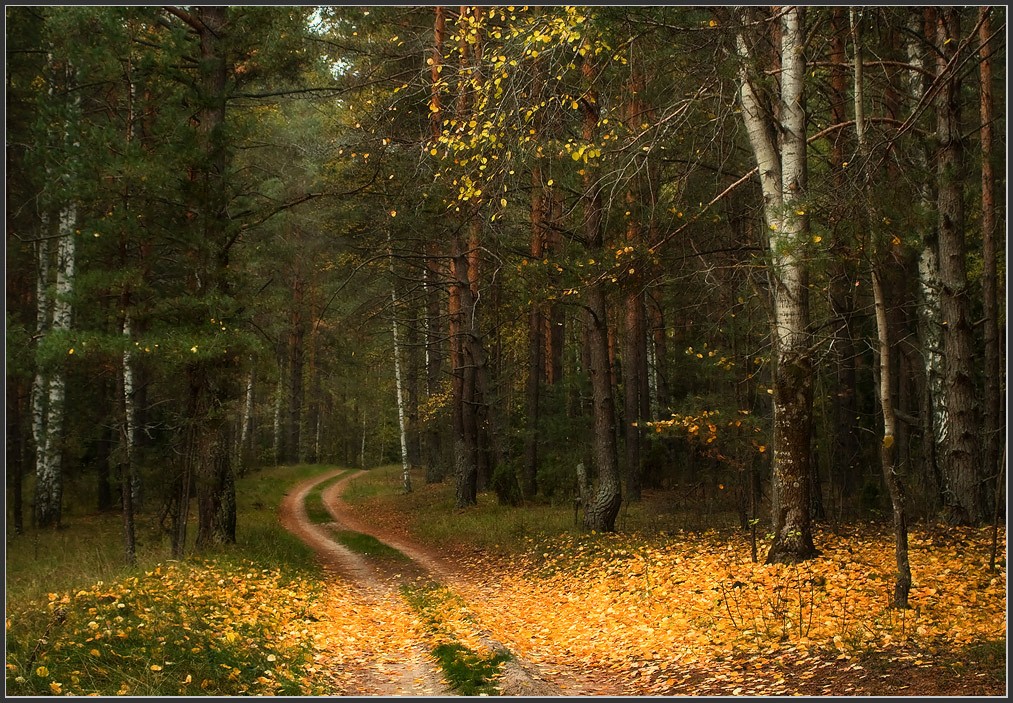 Уронила осень осиновый лист...