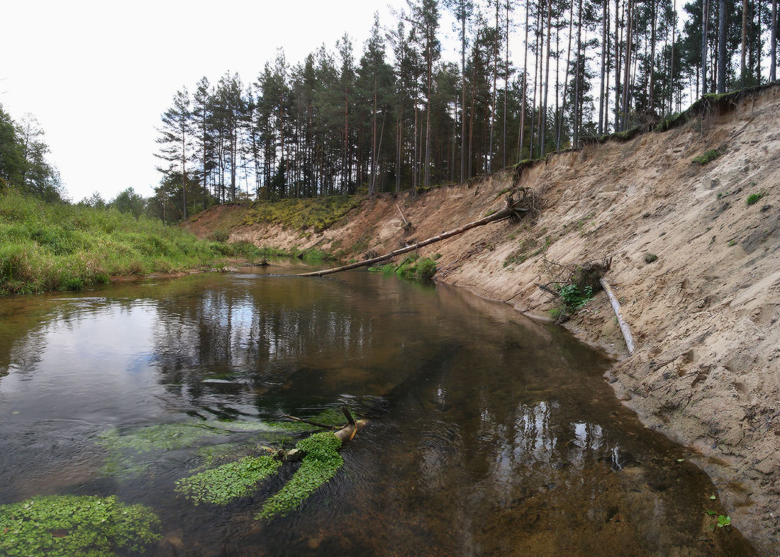 на тихой речке