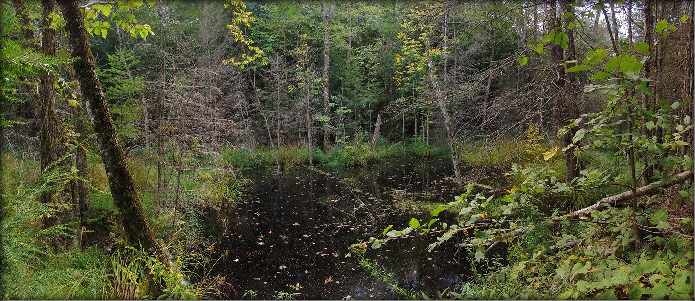 где бродил Чингачгук