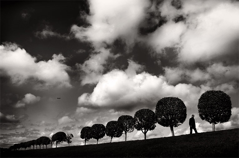 Дорога в облака