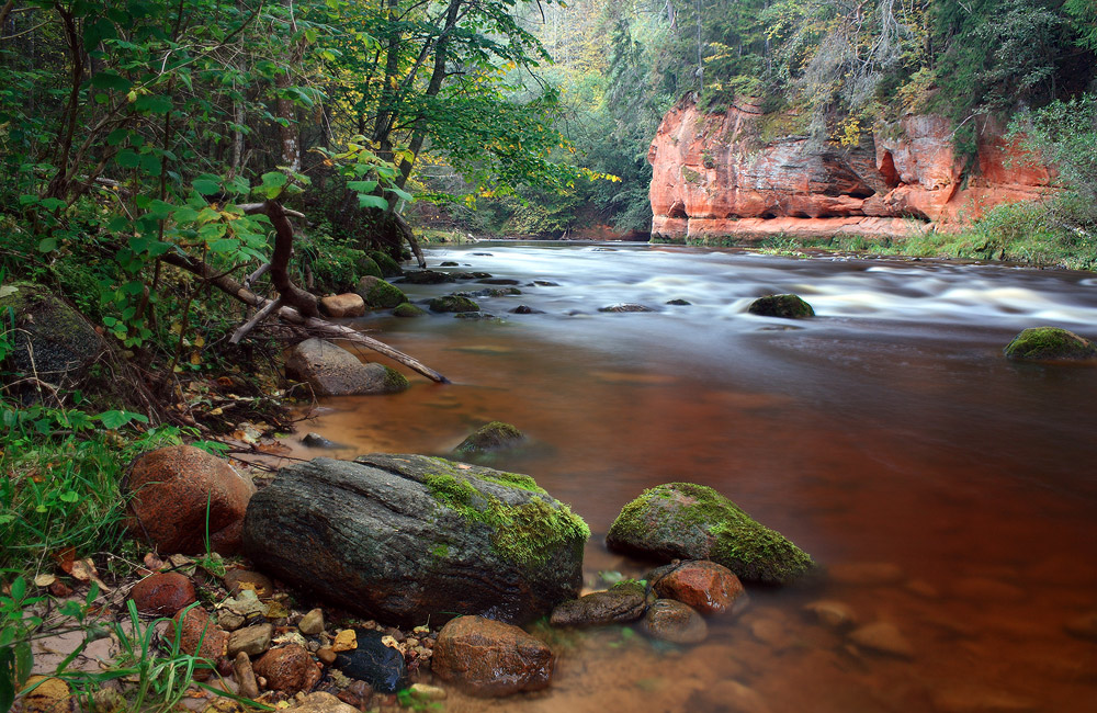 Полминута осеннего вечера у реки
