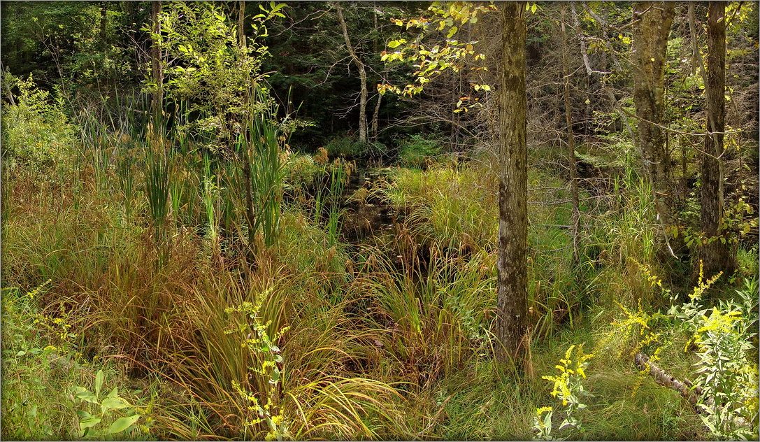 хозяйство Нанабуша