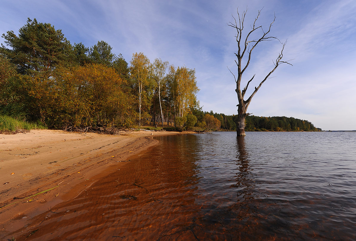 Осень патриарха