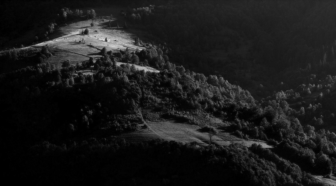 Карпатские склоны. ЧБ.