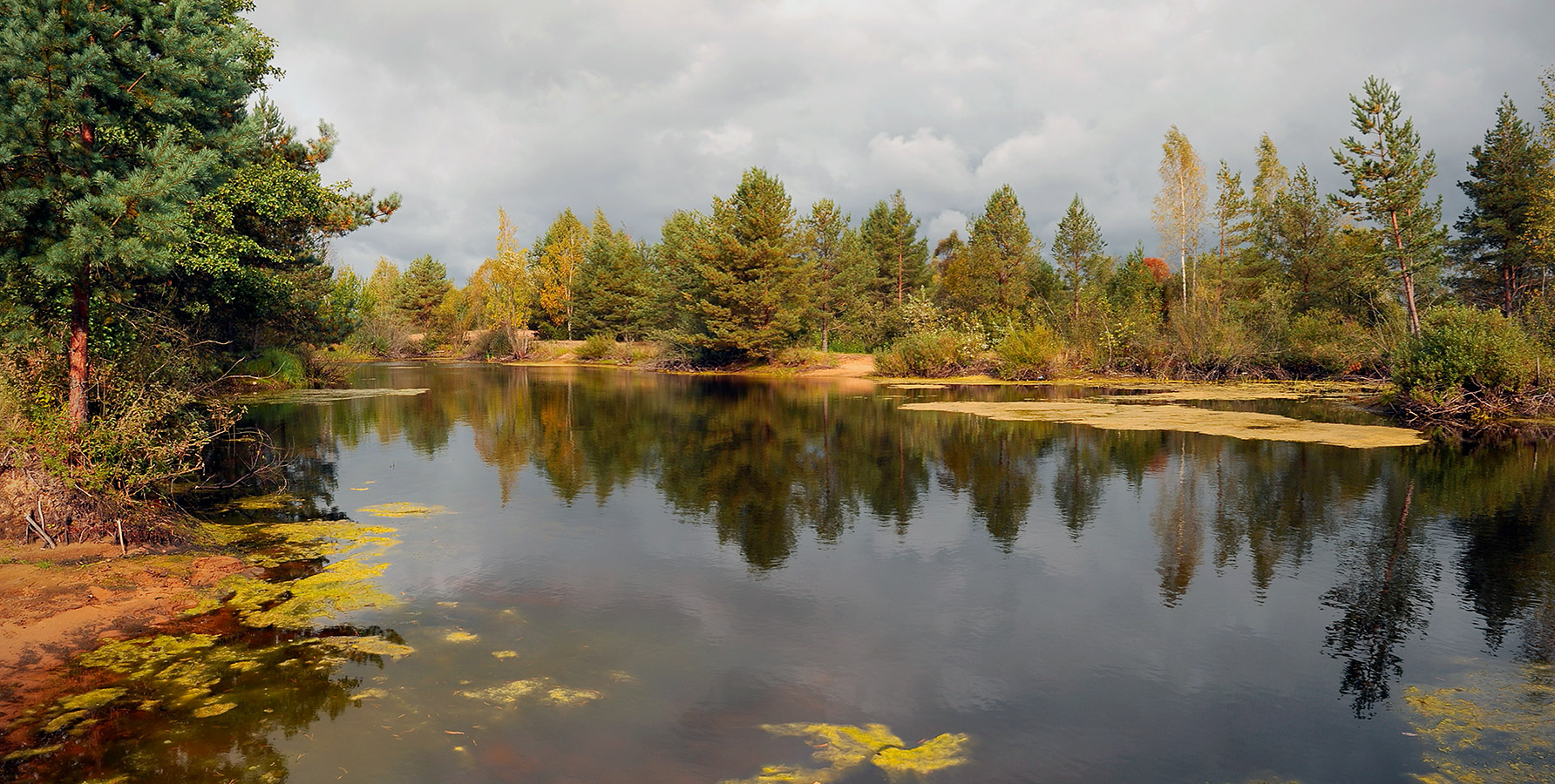 Лесное  озеро