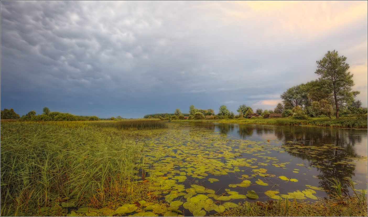/ Вечерний пейзаж с кувшинками /